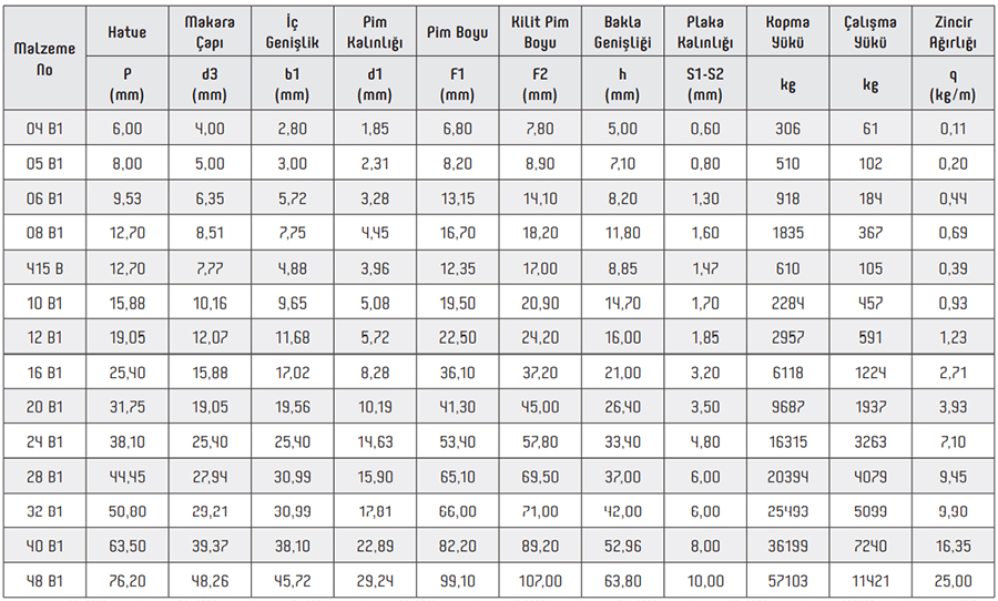 B Series I Roller Chains