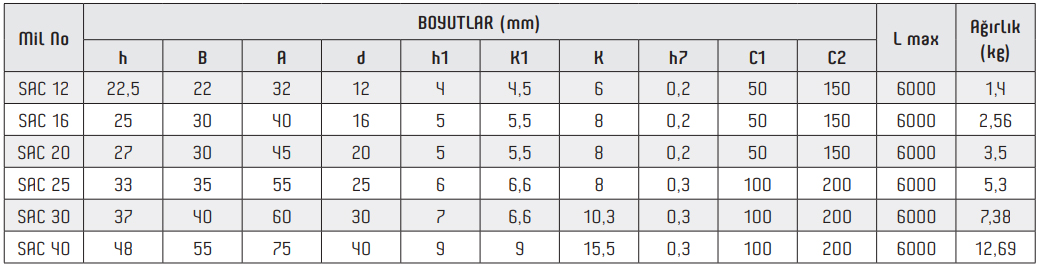 Bottom Supported Shaft
