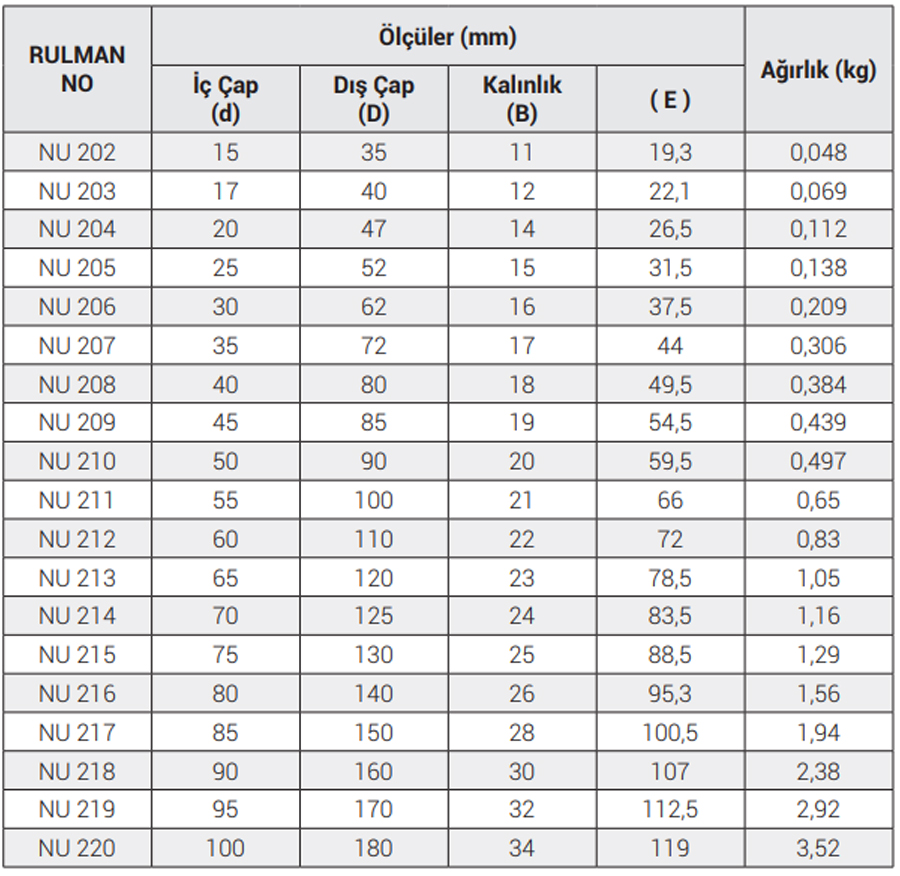 OBR NU 200 Series Bearings