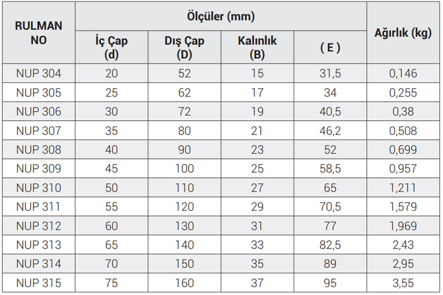 OBR NUP 2200 Series Bearings